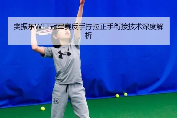 樊振东WTT冠军赛反手拧拉正手衔接技术深度解析