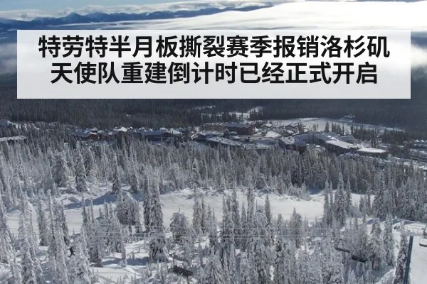 特劳特半月板撕裂赛季报销洛杉矶天使队重建倒计时已经正式开启